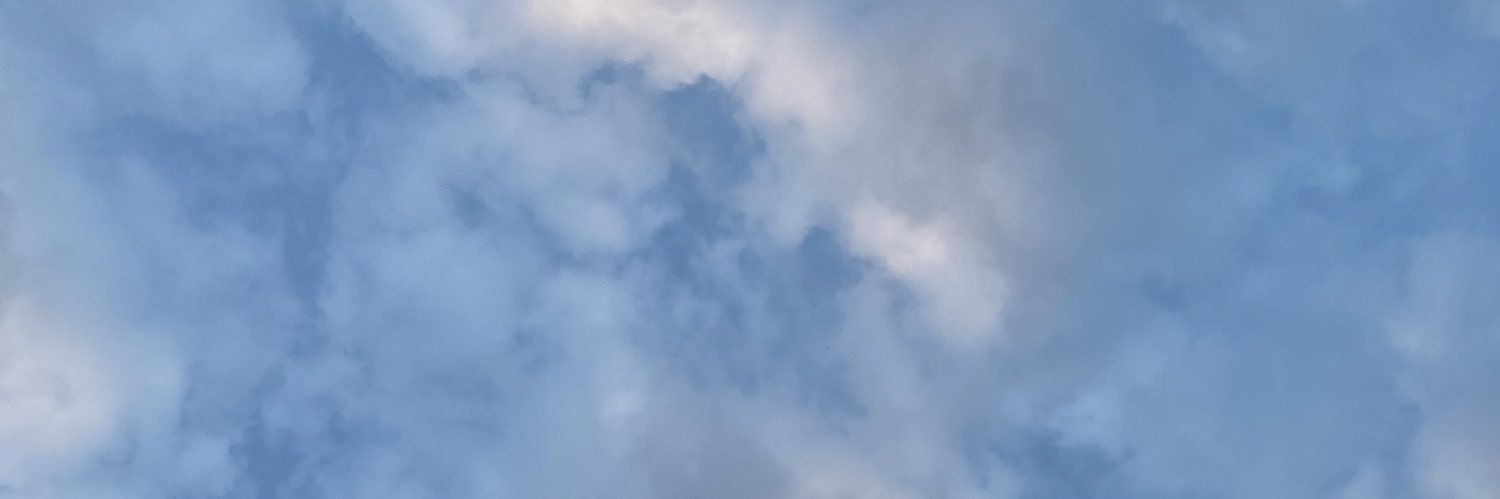 AmyLeannex's profile banner image