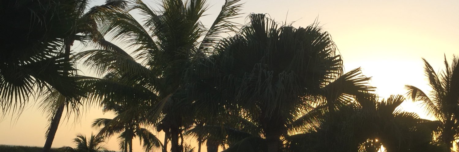 Cathyaerssen's profile banner image