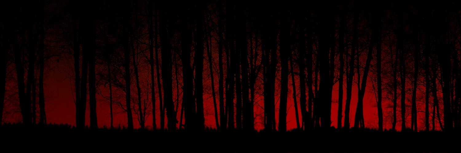FlagRoth's profile banner image