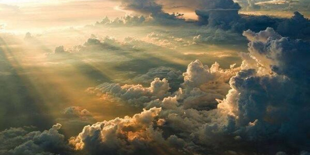 foreverdreamer banner