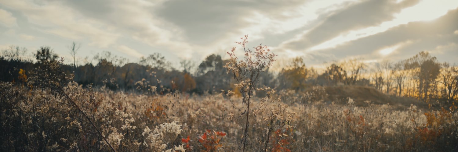 JakeTowns's profile banner image