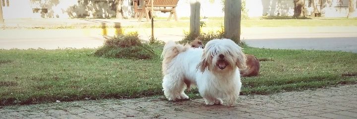 PiliDColodrero's profile banner image