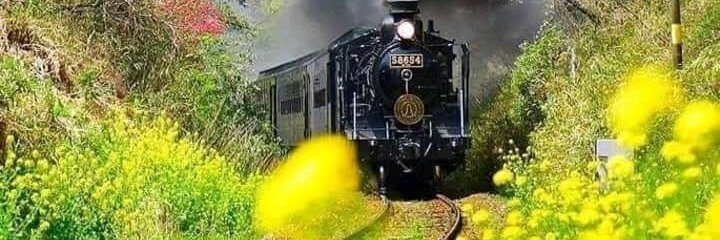 harunbrac's profile banner image