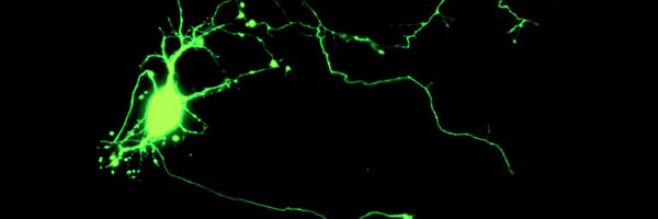 MLRogers123 Profile Banner