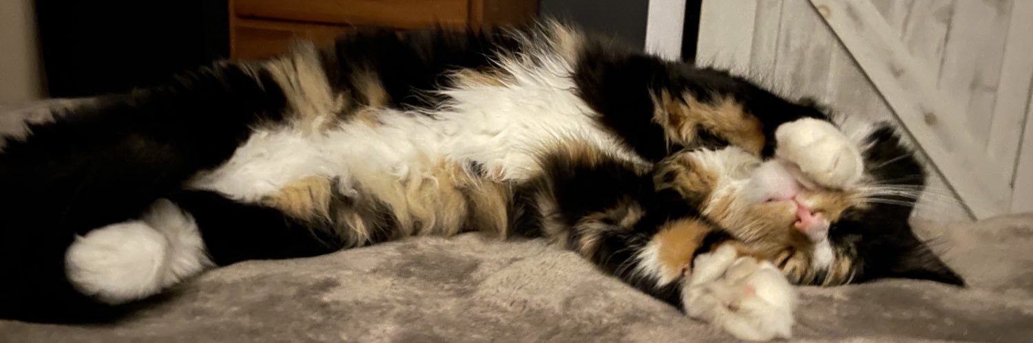 Roanne Collins banner