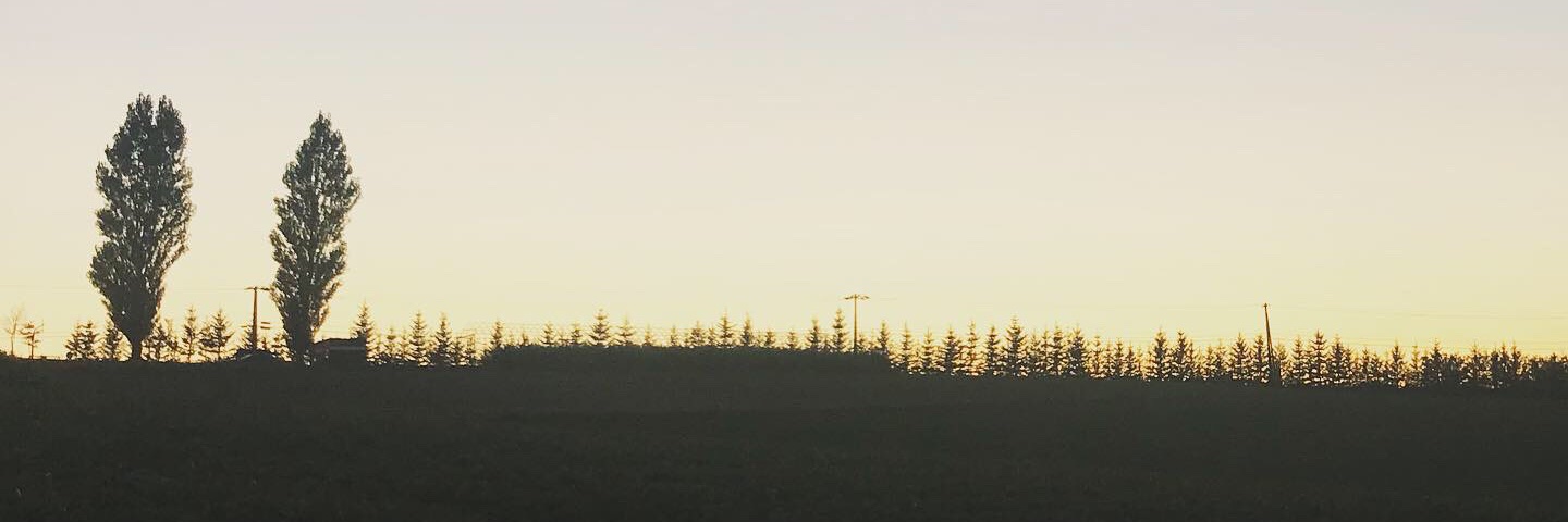 KGYKK920's profile banner image