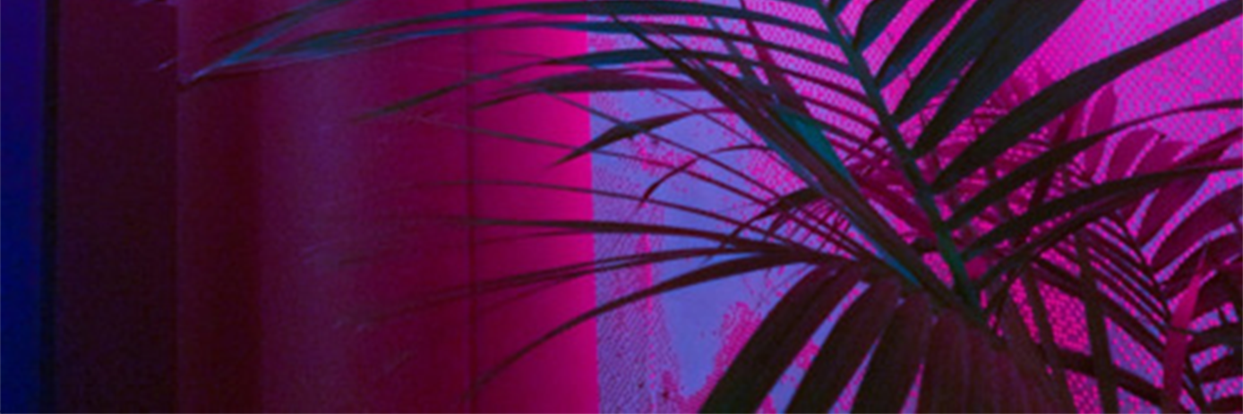Wheatagaric's profile banner image