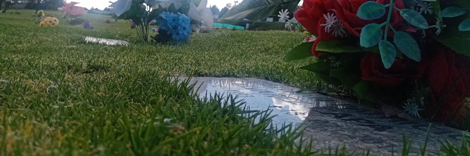 CESAR_RADIO's profile banner image