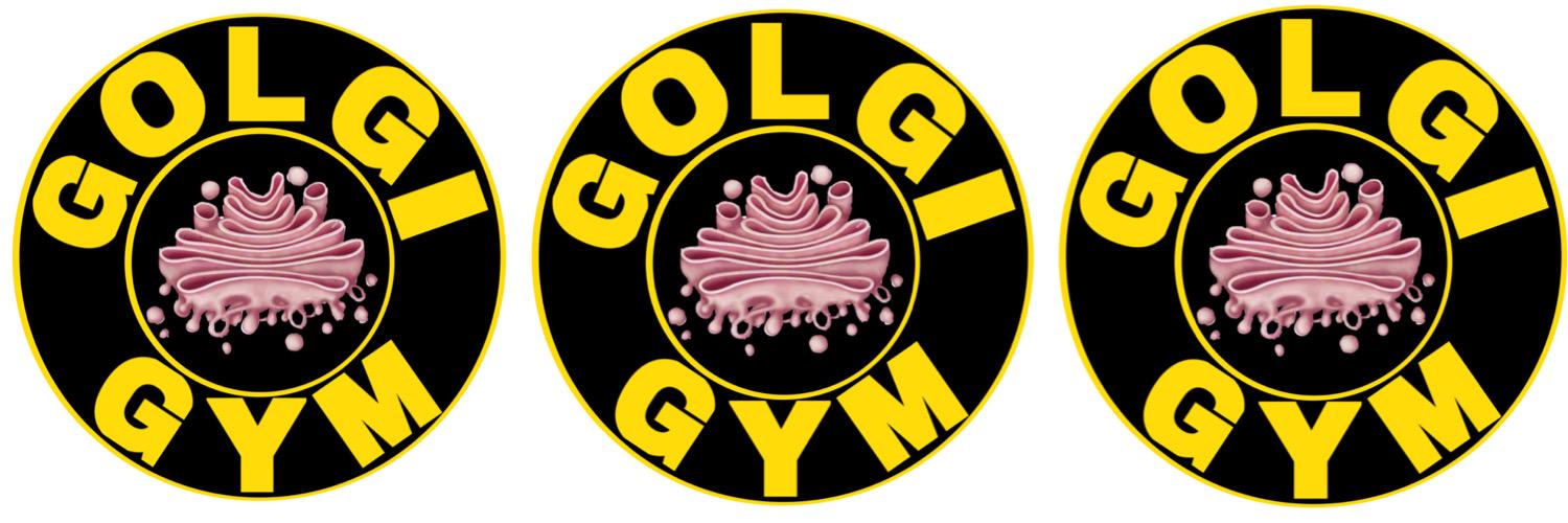 golgilocks's profile banner image