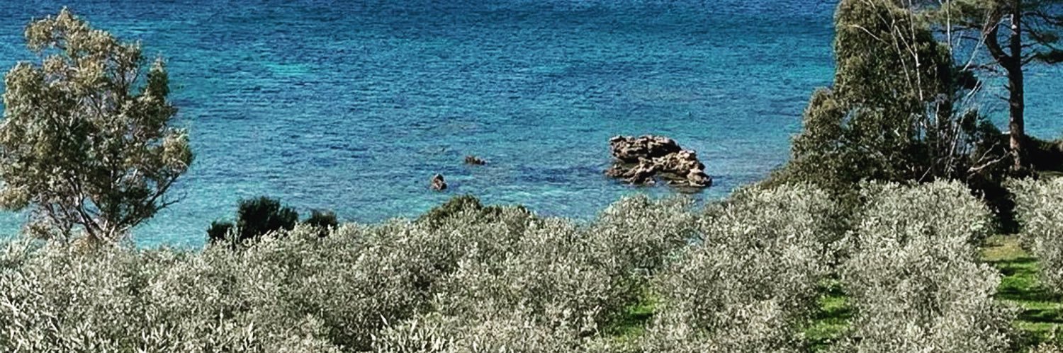 ALIVA_MARINA's profile banner image