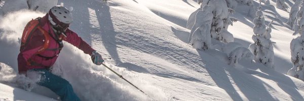 vanessacarmean Profile Banner