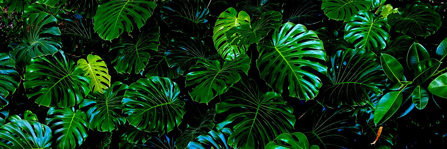 bezdomsky's profile banner image