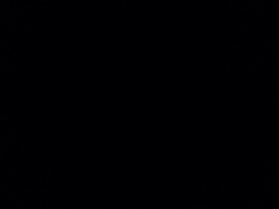 FedericoAlex1's profile banner image