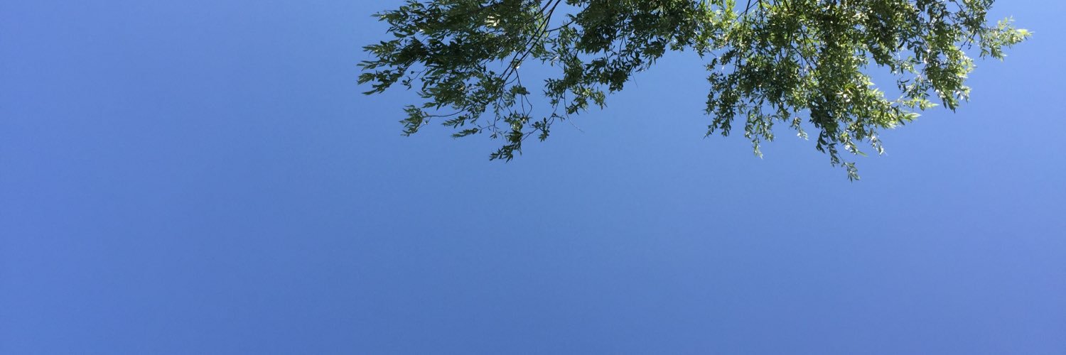haawoo's profile banner image