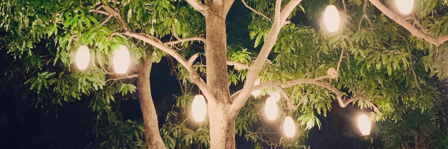 keenDaysiree's profile banner image