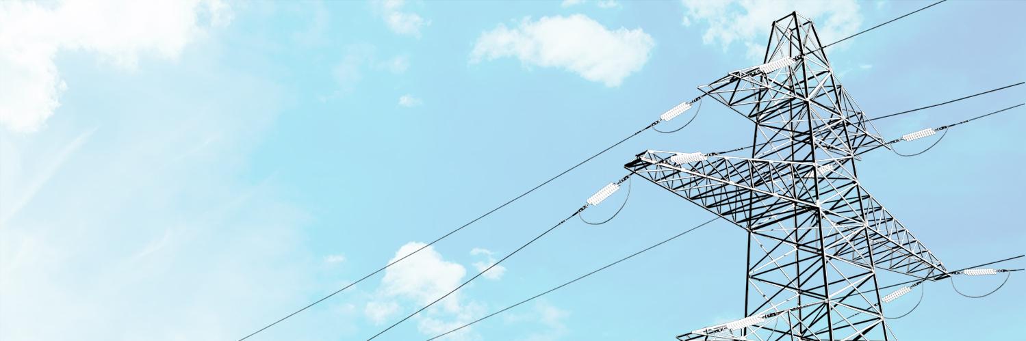 Amanda Durish Cook banner