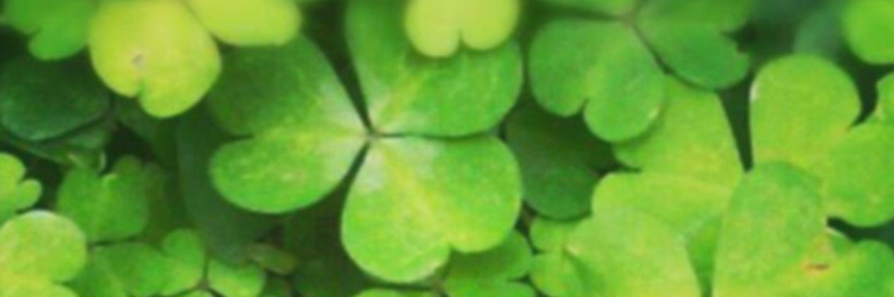 aMirabet's profile banner image
