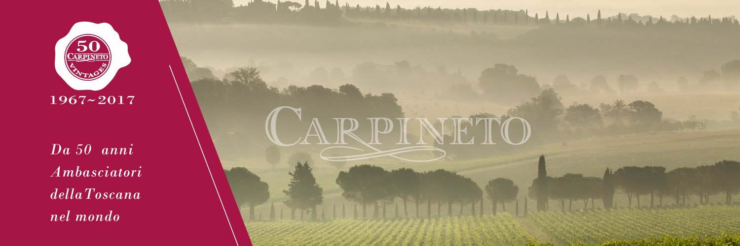 CarpinetoWines's profile banner image