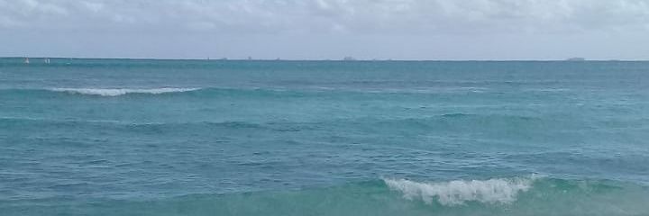 Maru Liebre (ella/she/her) banner