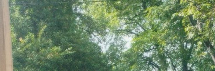 Bto..💛 banner