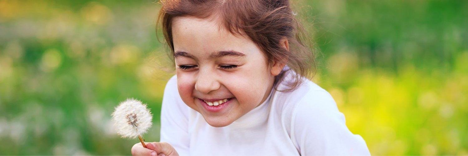 Support for Early Learning & Families (SELF) banner