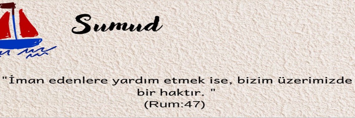 bayrammsevim's profile banner image