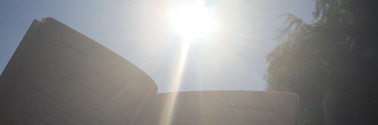 Emma_Stones4's profile banner image