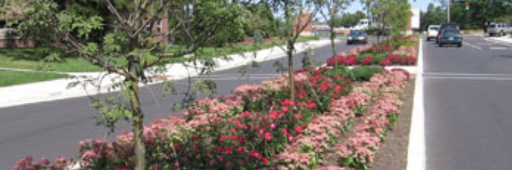 BeautifulMuncie's profile banner image