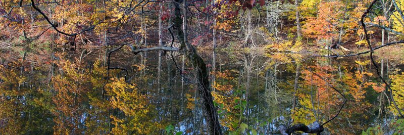CentralNJMag's profile banner image