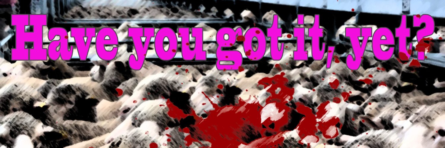 freemindsmith's profile banner image