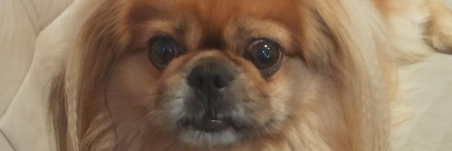 Amannn_x's profile banner image