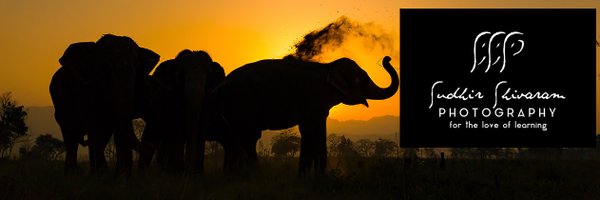 SudhirShivaram Profile Banner