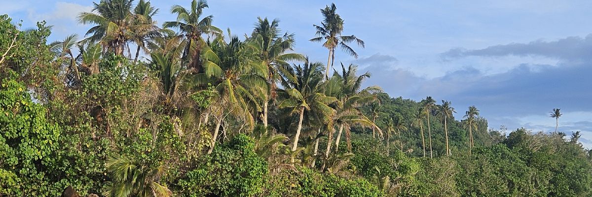 B🌺🇦🇸 banner