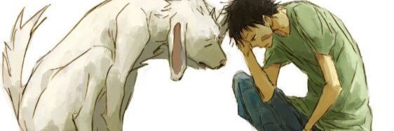 kiba_ms's profile banner image