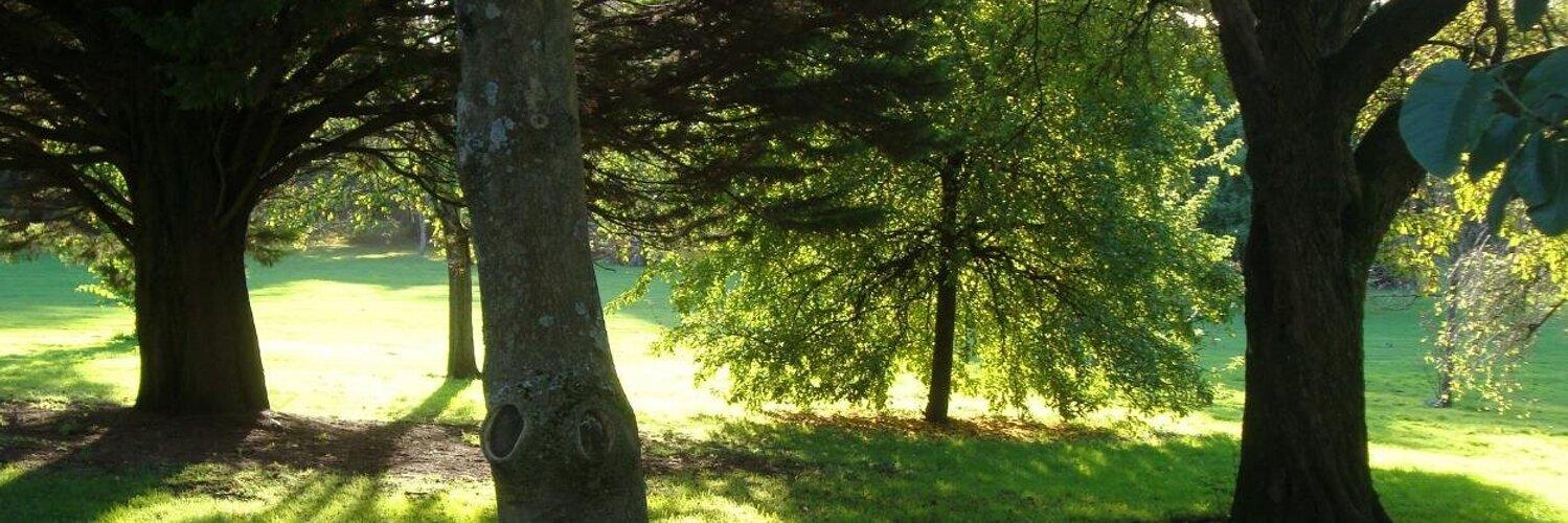 Cardiff Shakespeare banner