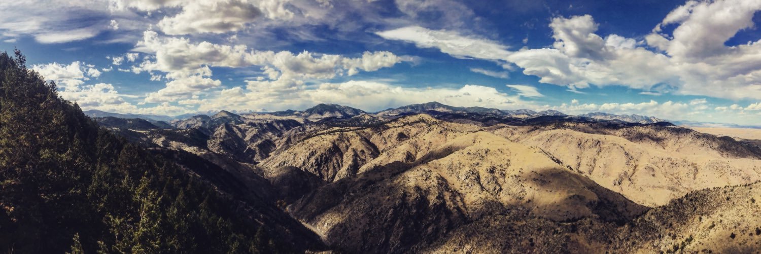SoaringFalcon_'s profile banner image