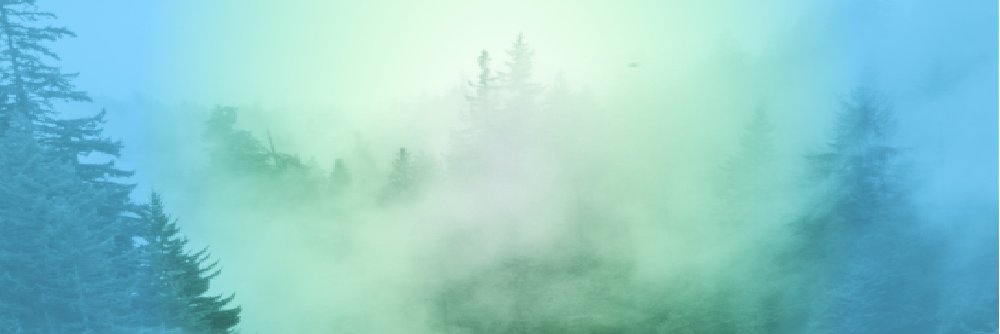 Vjdoms's profile banner image