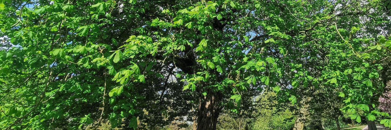 amohin23's profile banner image