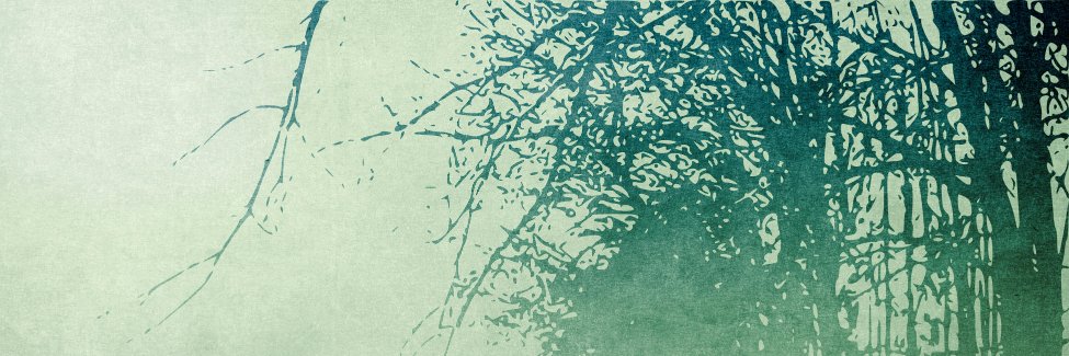 cedarhouse75's profile banner image