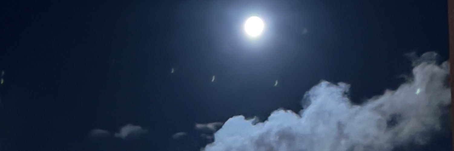 Rishigeshan's profile banner image