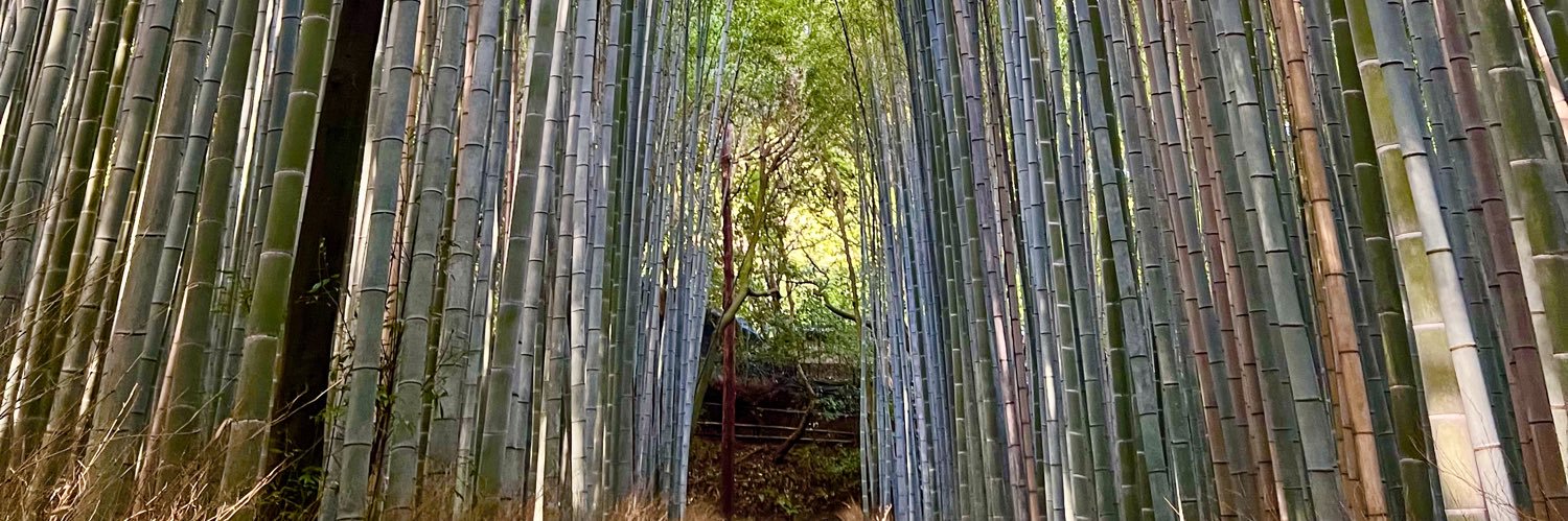 Ricky Ocampo ✨ banner