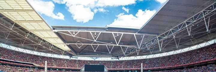 Louis es vida papá banner