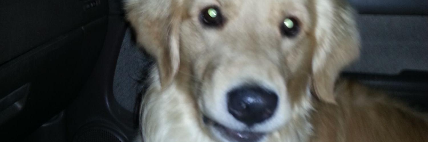 Smitty0926's profile banner image