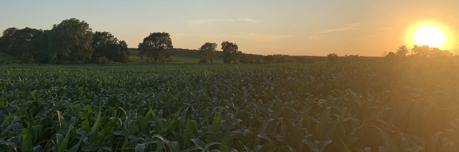 meganbehrends24's profile banner image
