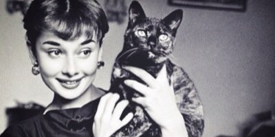 amlcindy's profile banner image