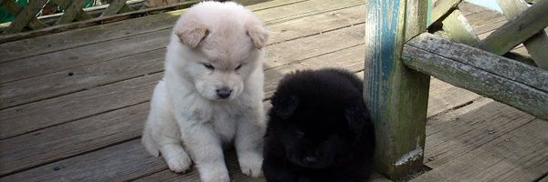 emc_mcdonald Profile Banner