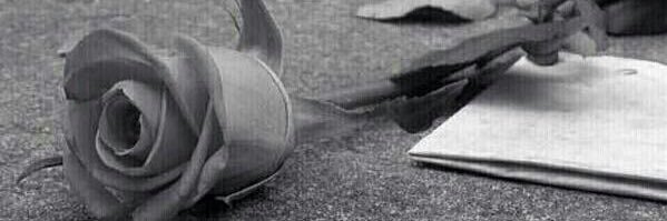 ‎‏ ‏﮼زوزو،‎ banner