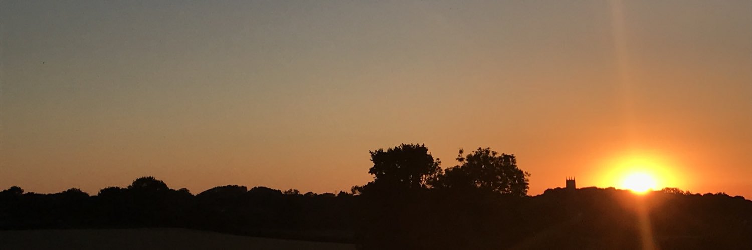 flemilyy's profile banner image