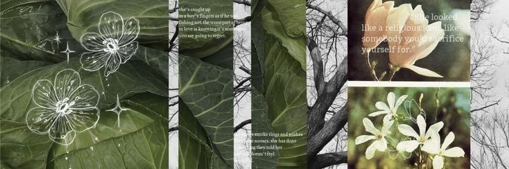 riri banner