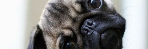 Ana_Barnes28's profile banner image